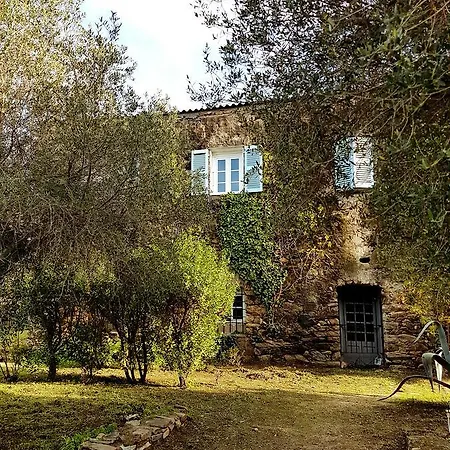 Domaine D'ostriconi-l'agriate Cafe Palasca (Corsica)